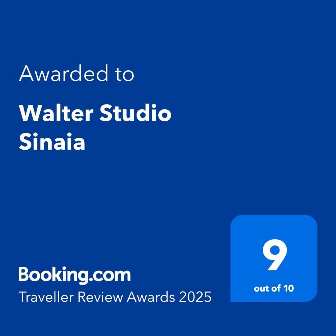 Walter Studio Sinaia With Balcony And Private Parking Extérieur photo